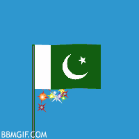 Pakistan Flag Waving and Fireworks Animated Gif for BBM | BlackBerry,  Android, iPhone and iPad